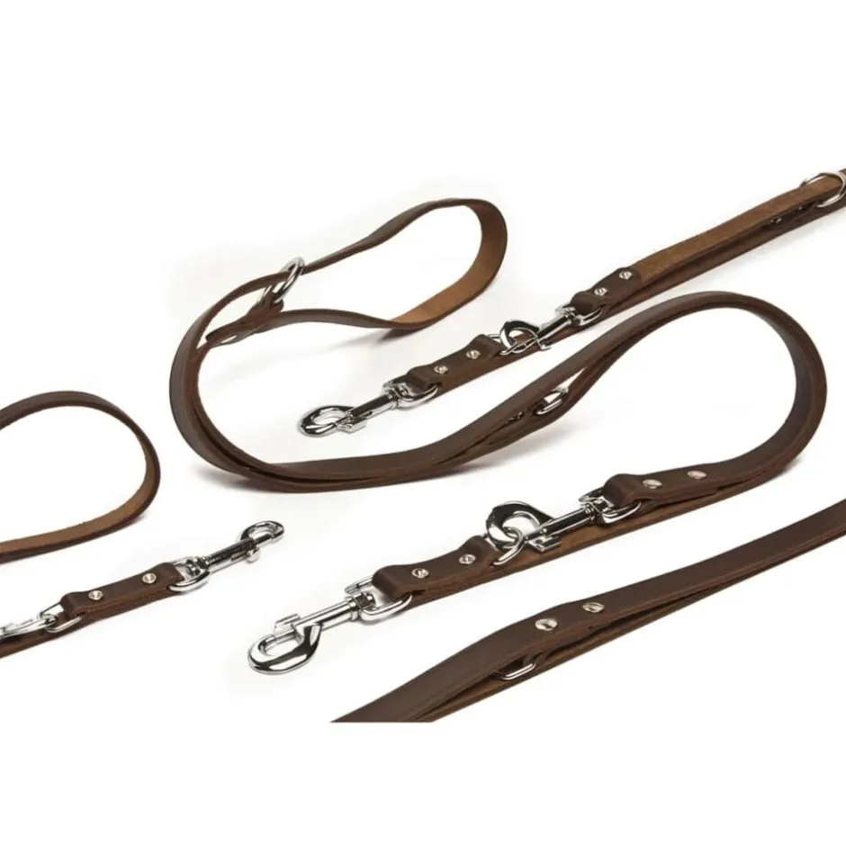 Clearance vidaXL Beeztees Hundkoppel läder t 200x1,2 cm 736401 Brun