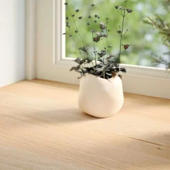 Best vidaXL Fönsterbänkar 2 st obehandlad 70x15x2 cm massiv ek Naturfärg