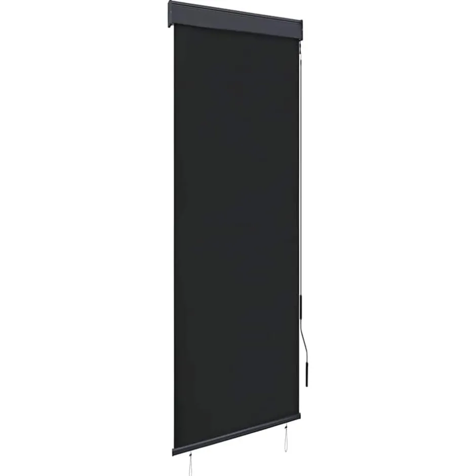 Online vidaXL Rullgardin utomhus 60x250 cm Antracit