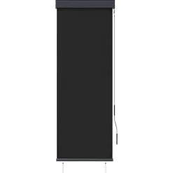 Online vidaXL Rullgardin utomhus 60x250 cm Antracit