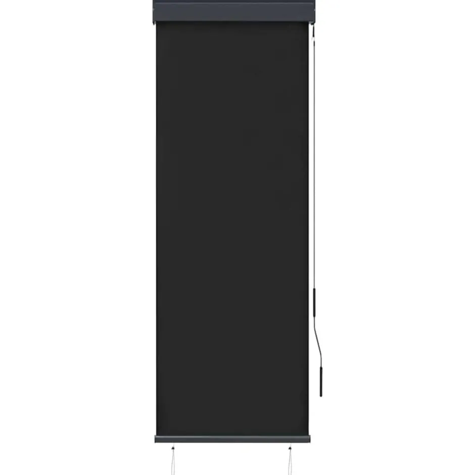 Online vidaXL Rullgardin utomhus 60x250 cm Antracit