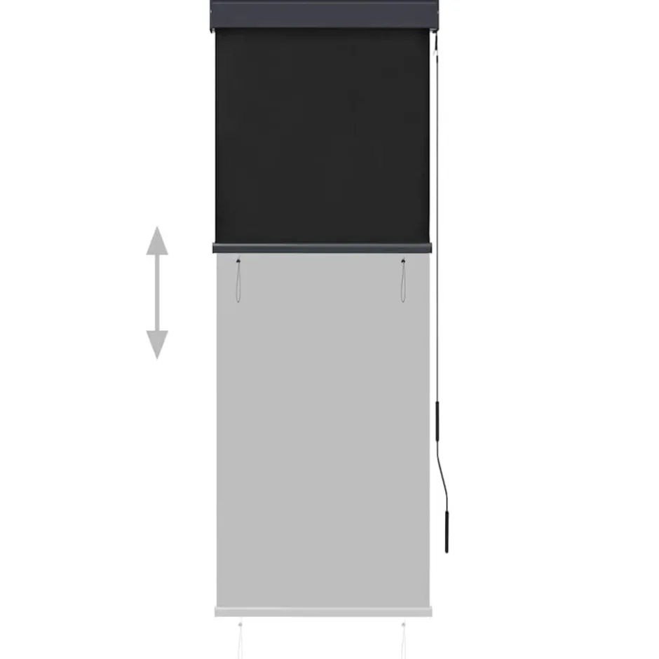 Online vidaXL Rullgardin utomhus 60x250 cm Antracit