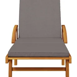 Discount vidaXL Solstolar 2 st med kuddar 200x68x83 cm massivt akaciaträ Mörkgrå