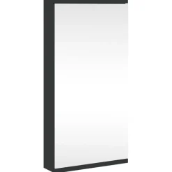 vidaXL Spegelskåp hörn 30x24x60 cm Svart