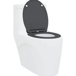 Sale vidaXL Toalettstol 47 x 37,5 x 3,8 cm Duroplast Antracit