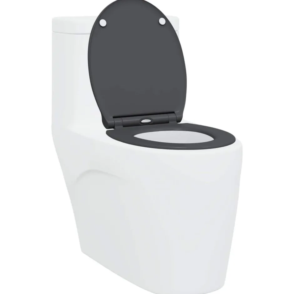 Sale vidaXL Toalettstol 47 x 37,5 x 3,8 cm Duroplast Antracit