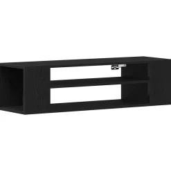 Online vidaXL TV-skåp 100 x 30 x 26,5 cm Konstruerat trä Svart ek