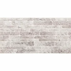 vidaXL Väggpaneler 10 pcs Ljusgrå och vit. 100 x 50 cm EPS Skum
