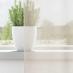 vidaXL Voile gardiner med stångfickor 2 st gräddvit